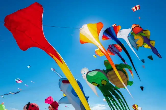 Image of some kites